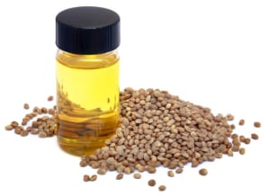 हेम्प ऑयल, hemp oil